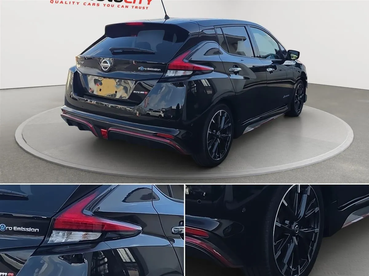 2019 Nissan Leaf NISMO, PRO PILOT, 360 CAMERA, SOH 86%, photo 10 of 20