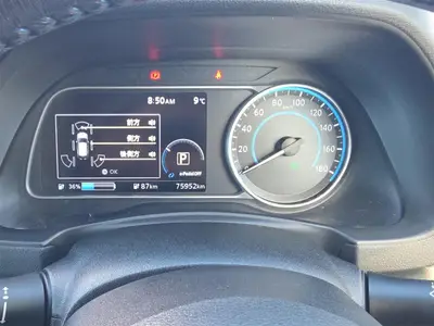 2019 Nissan Leaf Propilot, 360 Camera, photo 19