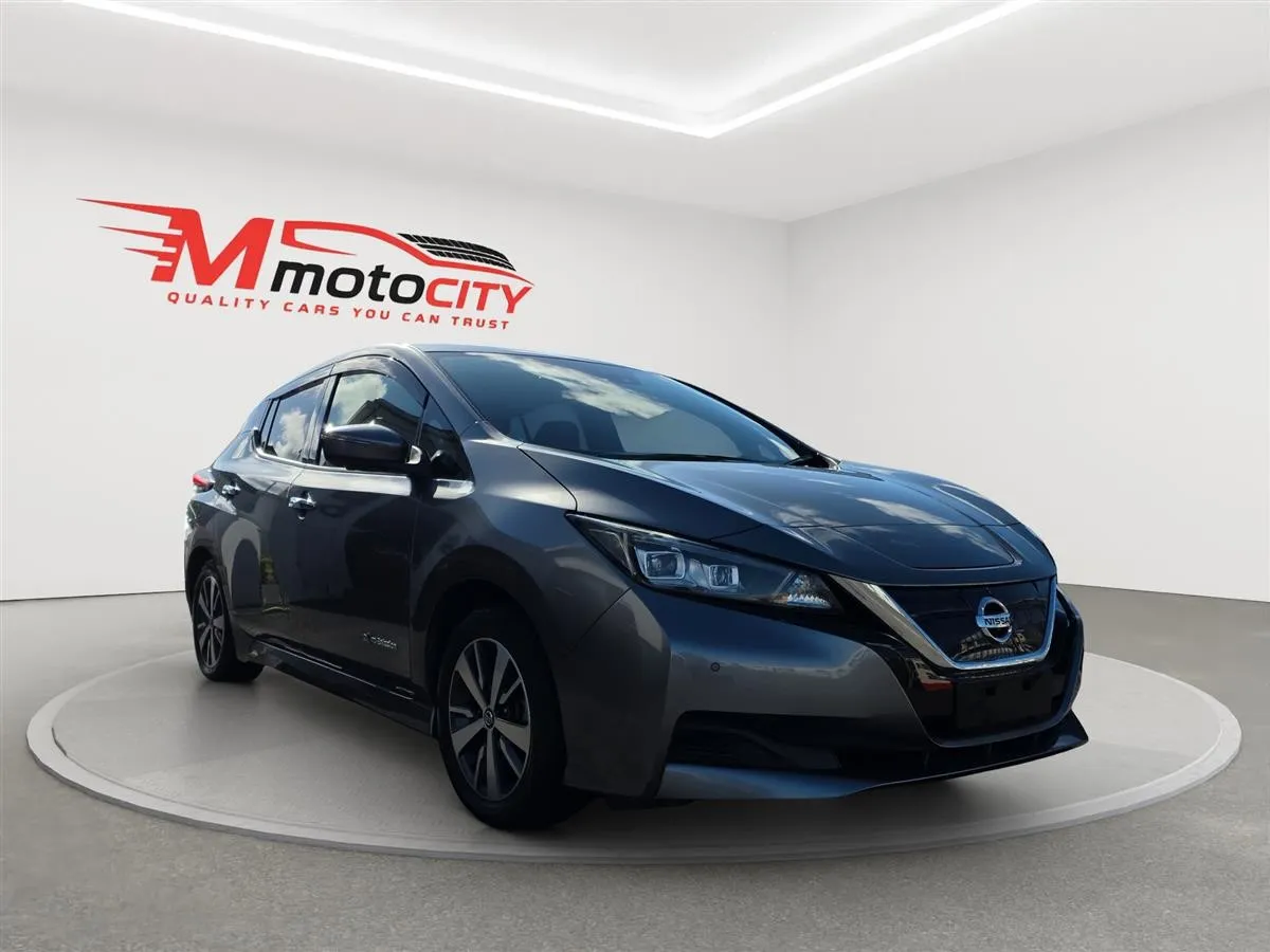 2019 Nissan Leaf Propilot, 360 Camera,