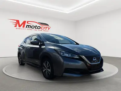 2019 Nissan Leaf Propilot, 360 Camera, photo 1