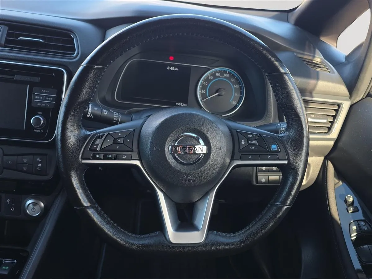 2019 Nissan Leaf Propilot, 360 Camera,