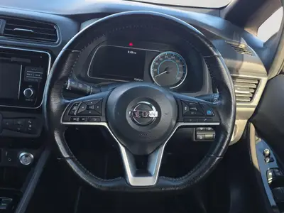 2019 Nissan Leaf Propilot, 360 Camera, photo 18