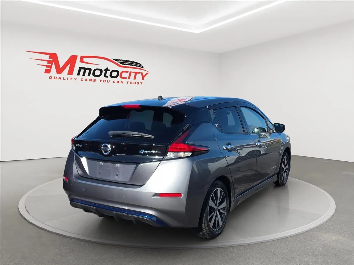 2019 Nissan Leaf Propilot, 360 Camera, photo 3 of 20