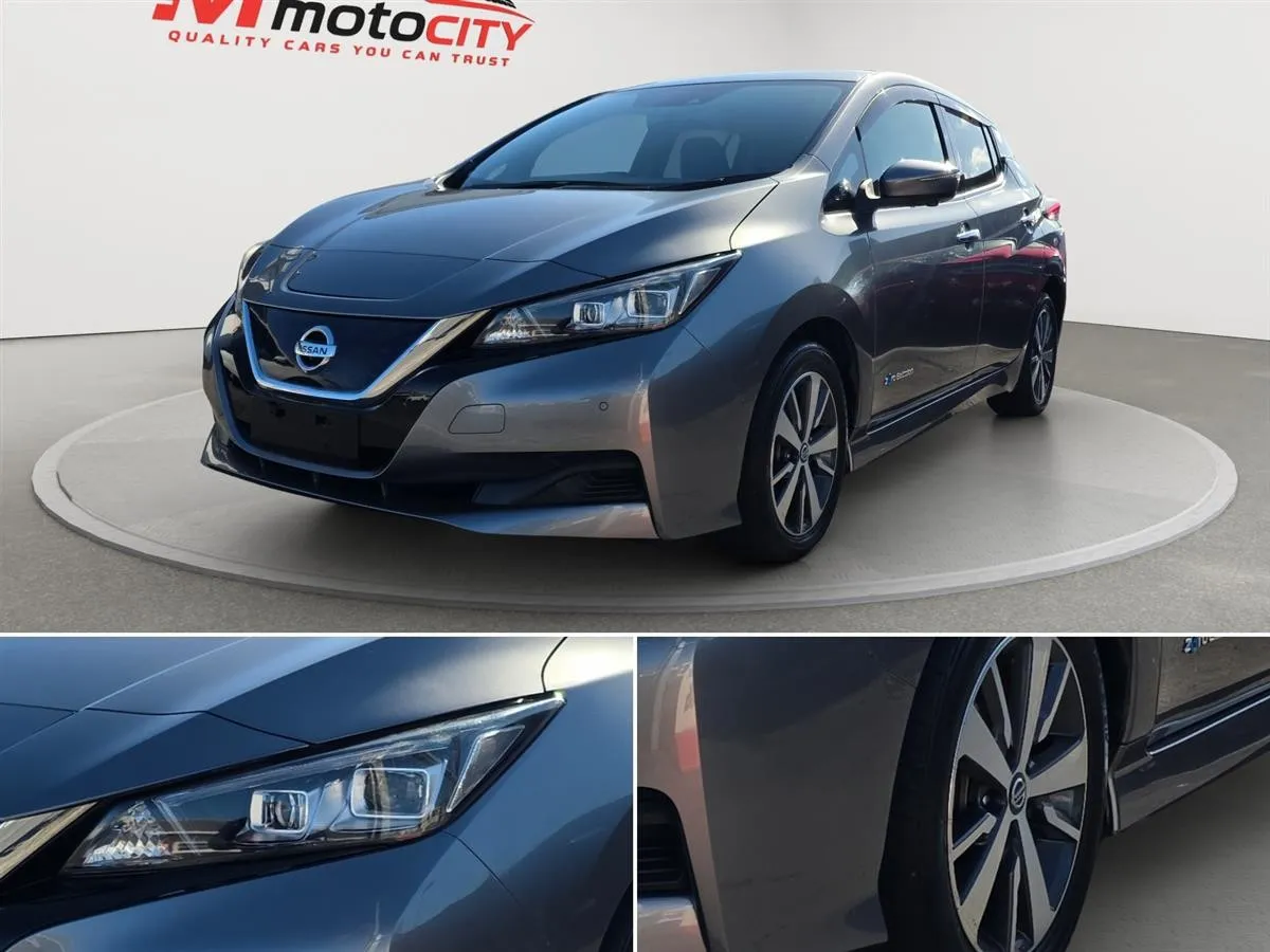 2019 Nissan Leaf Propilot, 360 Camera,