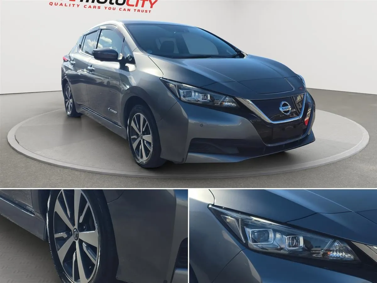 2019 Nissan Leaf Propilot, 360 Camera,