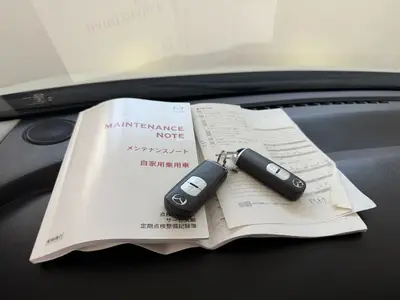 2019 Mazda CX-3 20S Proactiv BSM HUD CarPlay photo 20
