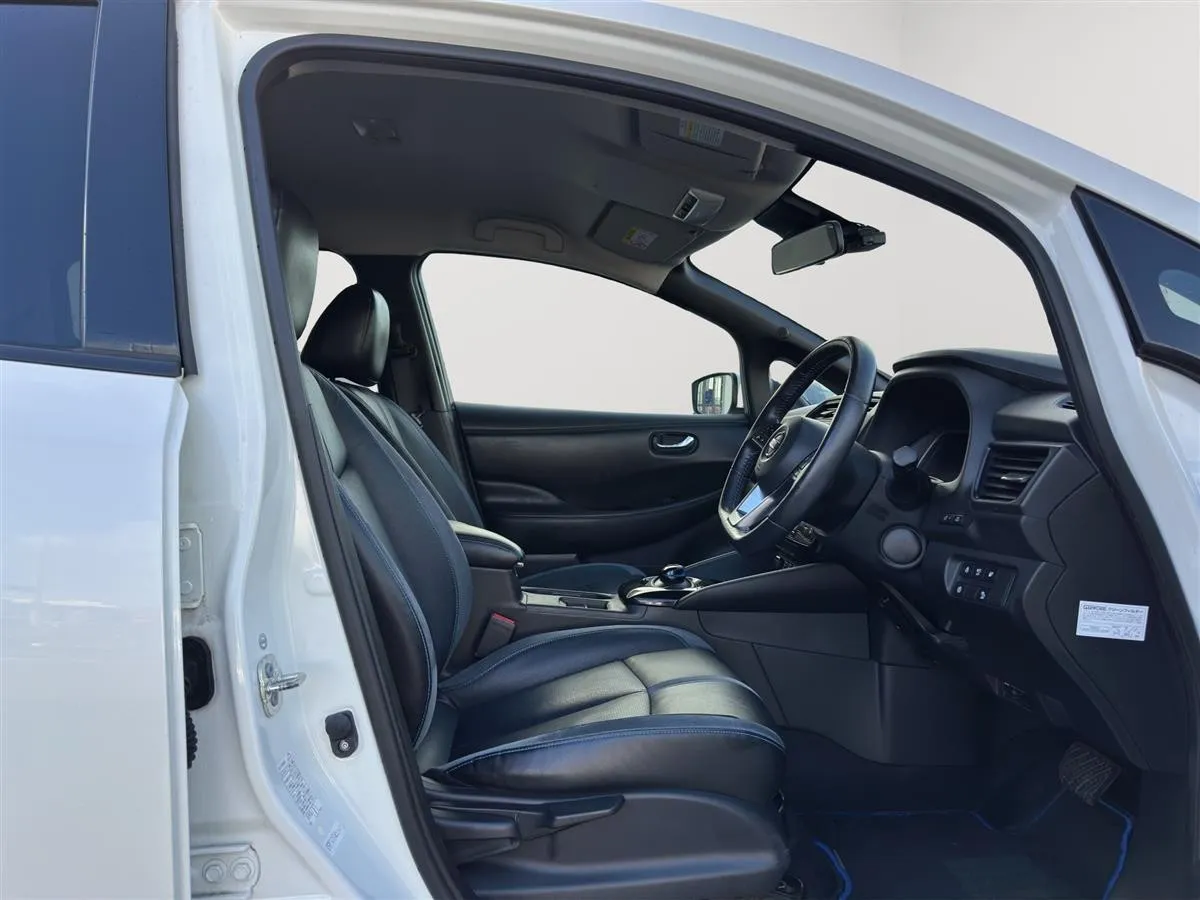 2018 Nissan Leaf X, LEATHER HEATED SEATS, RADAR CRUISE, photo 11 of 18