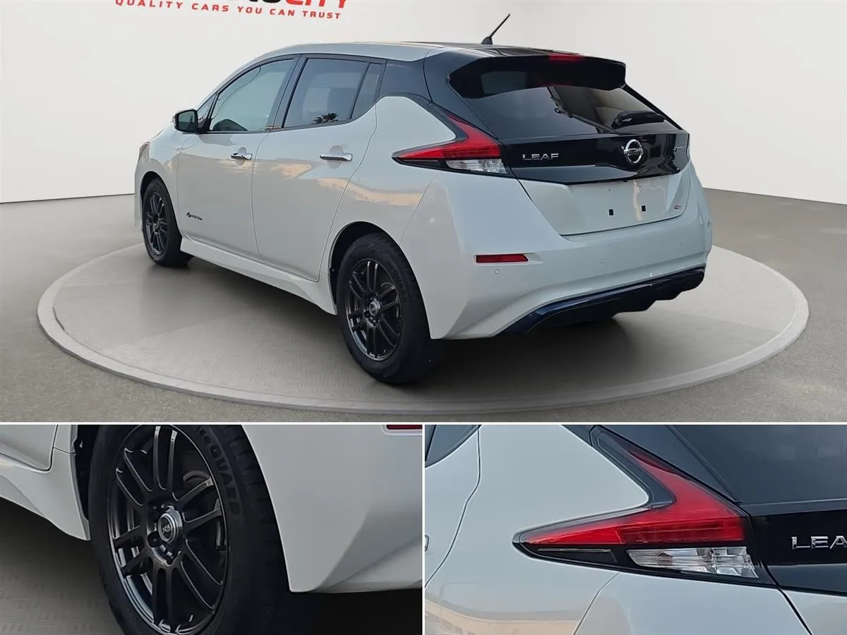 2018 Nissan Leaf X, LEATHER HEATED SEATS, RADAR CRUISE, photo 9 of 18